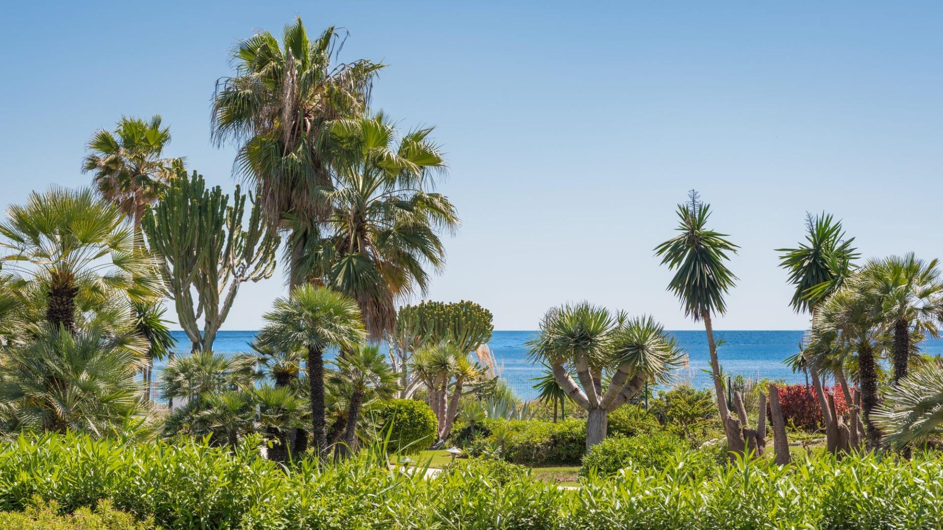 Renovated Beachside Ground Floor Apartment with Garden, New Golden Mile, photograph 4