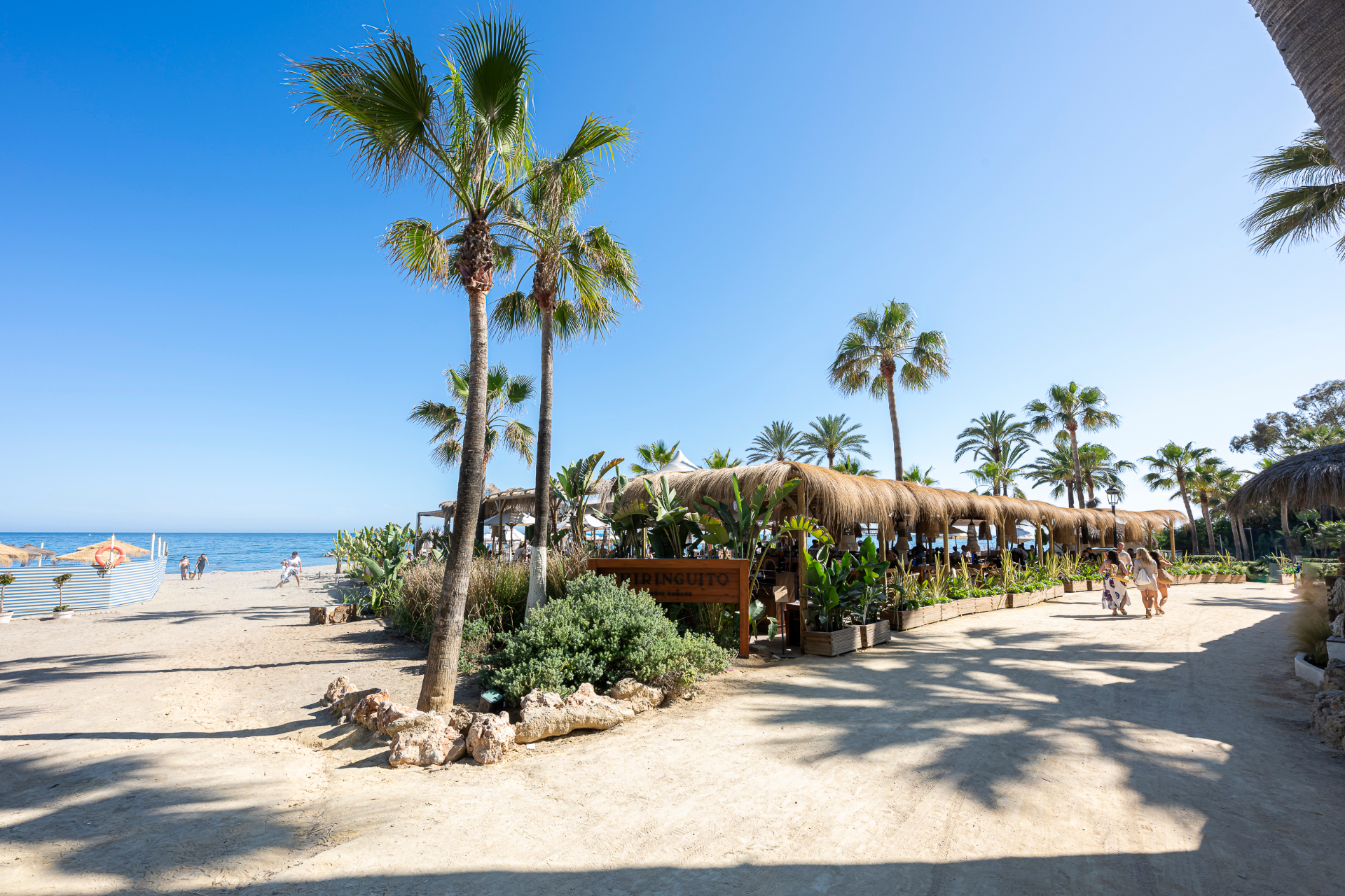 Beachside chiringuito with palms, cactus planters and the Mediterranean at Playa Nagüeles, Marbella.