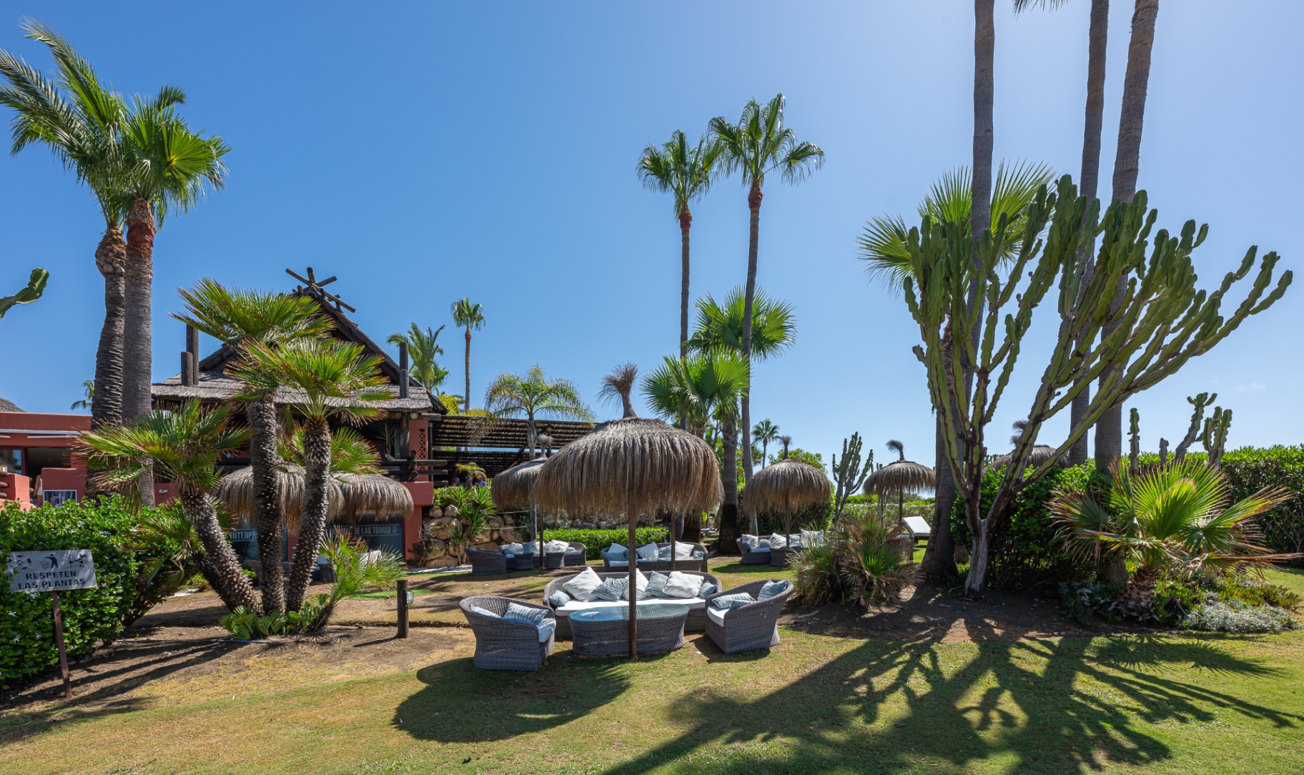Beachfront garden with thatched parasols, mature palms and cacti at a New Golden Mile resort community in Estepona.